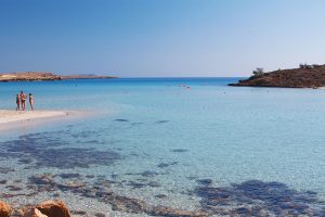 Ciprus hasznos tulajdonságok a prosztatitisben hogyan lehet enyhíteni a fájdalmat prosztatagyulladással
